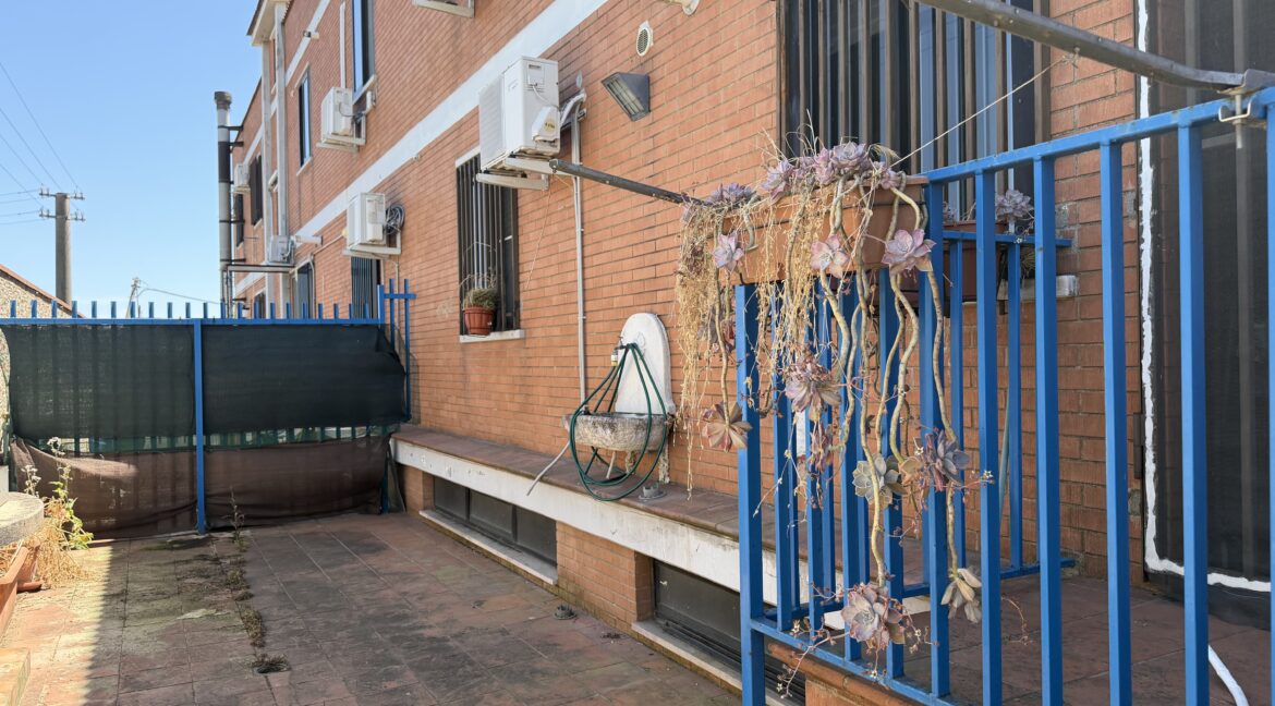 IMG_2368