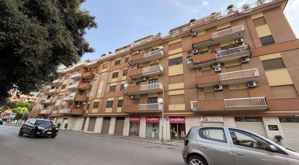 lo muzio 1