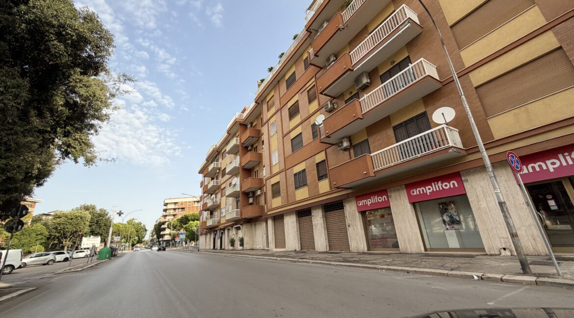 lo muzio